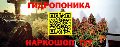 амф Обь