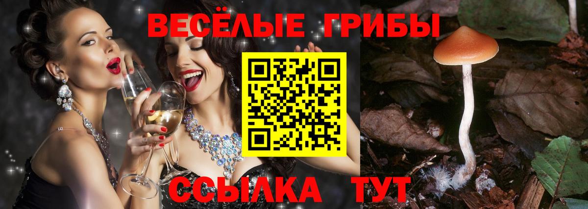 Псилоцибиновые грибы Psilocybe Удомля
