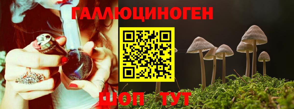 Псилоцибиновые грибы MAGIC MUSHROOMS  Галлюциногенные грибы прущие грибы  Вход с VPN  Удомля 